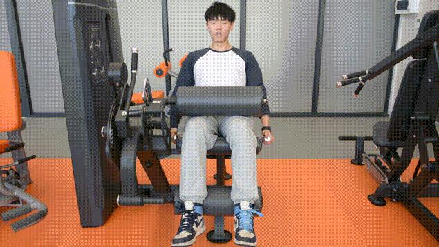 坐姿腿屈伸器 坐姿腿屈伸器